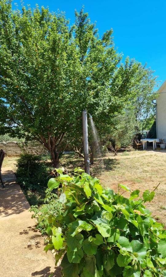 Villa Holiday House Cikola Kaocine