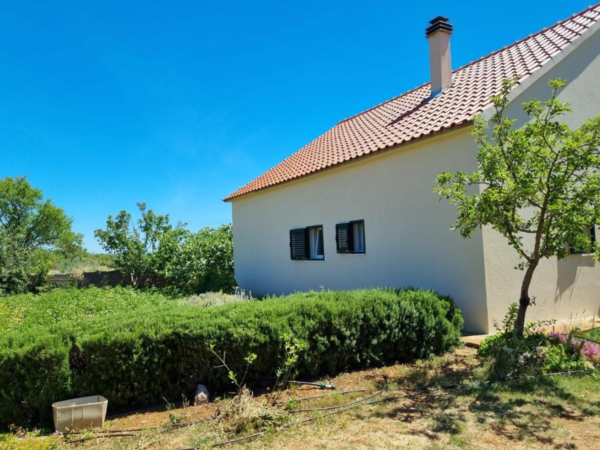Villa Holiday House Cikola